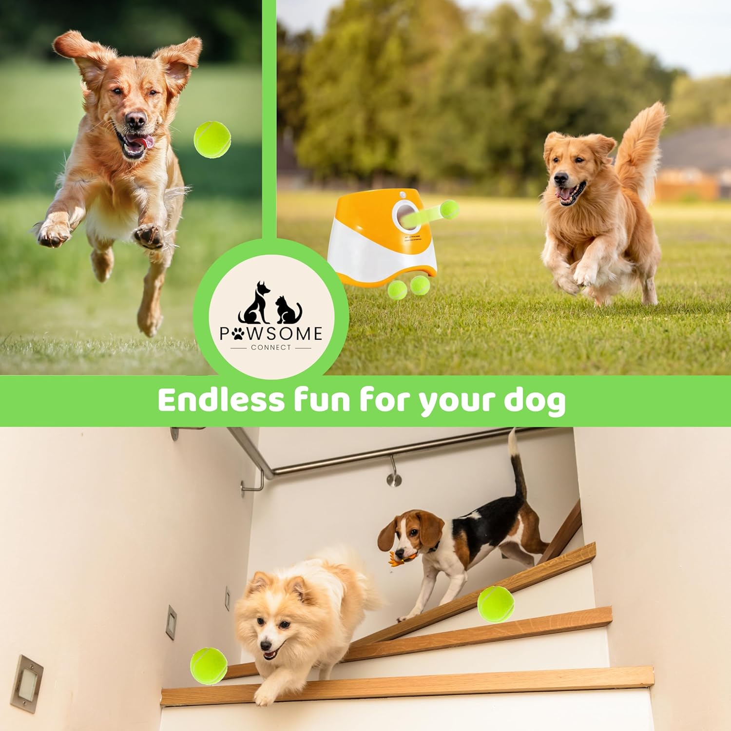 Orange Automatic Dog Ball Launcher with 3 Tennis Balls B642177