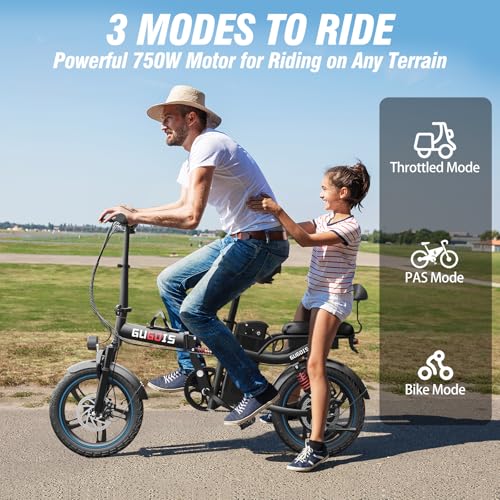 2 Seater Electric Bike, 16" Fat Tire, Full Suspension A247