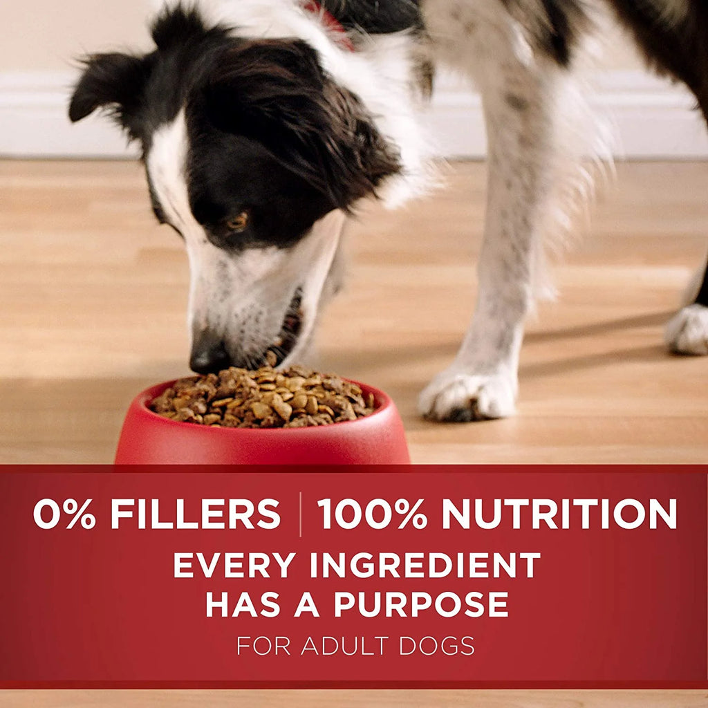 Natural Adult Lamb & Rice Dry Dog Food J746135
