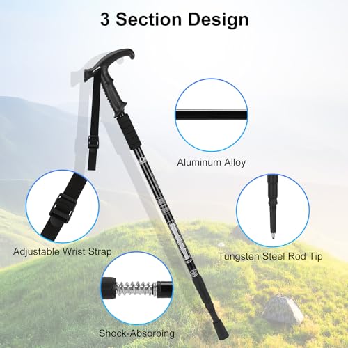 2 Pack Lightweight Aluminum Trekking Poles V8732