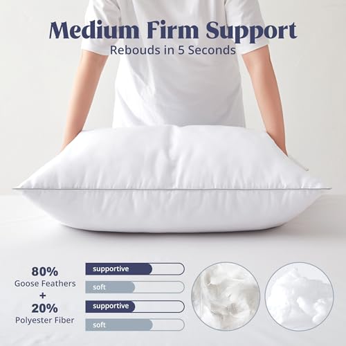 Set of 2 King Size Goose Feathers and Down White Pillows with Cotton Cover G9472