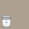 Eggshell Interior Paint (5-Gallon) C961