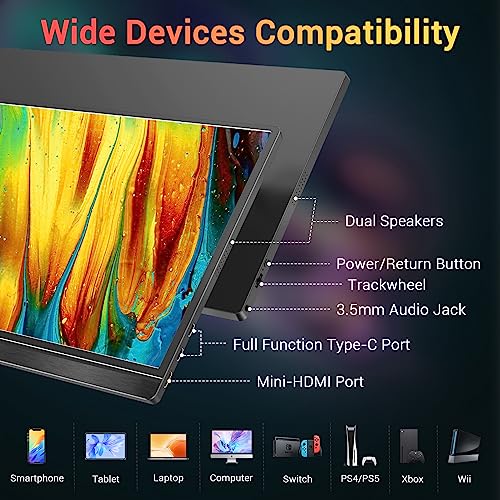 15.6'' FHD 1080P USB C HDMI IPS Portable Monitor P22153