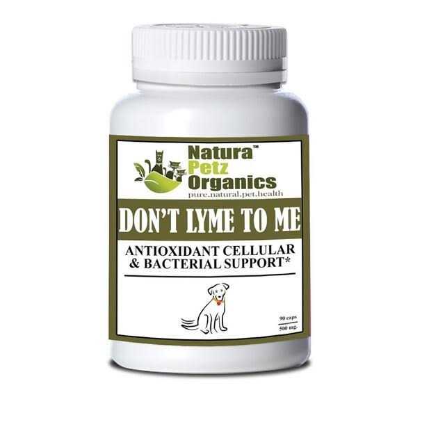 Capsules for Dogs & Cats S21628
