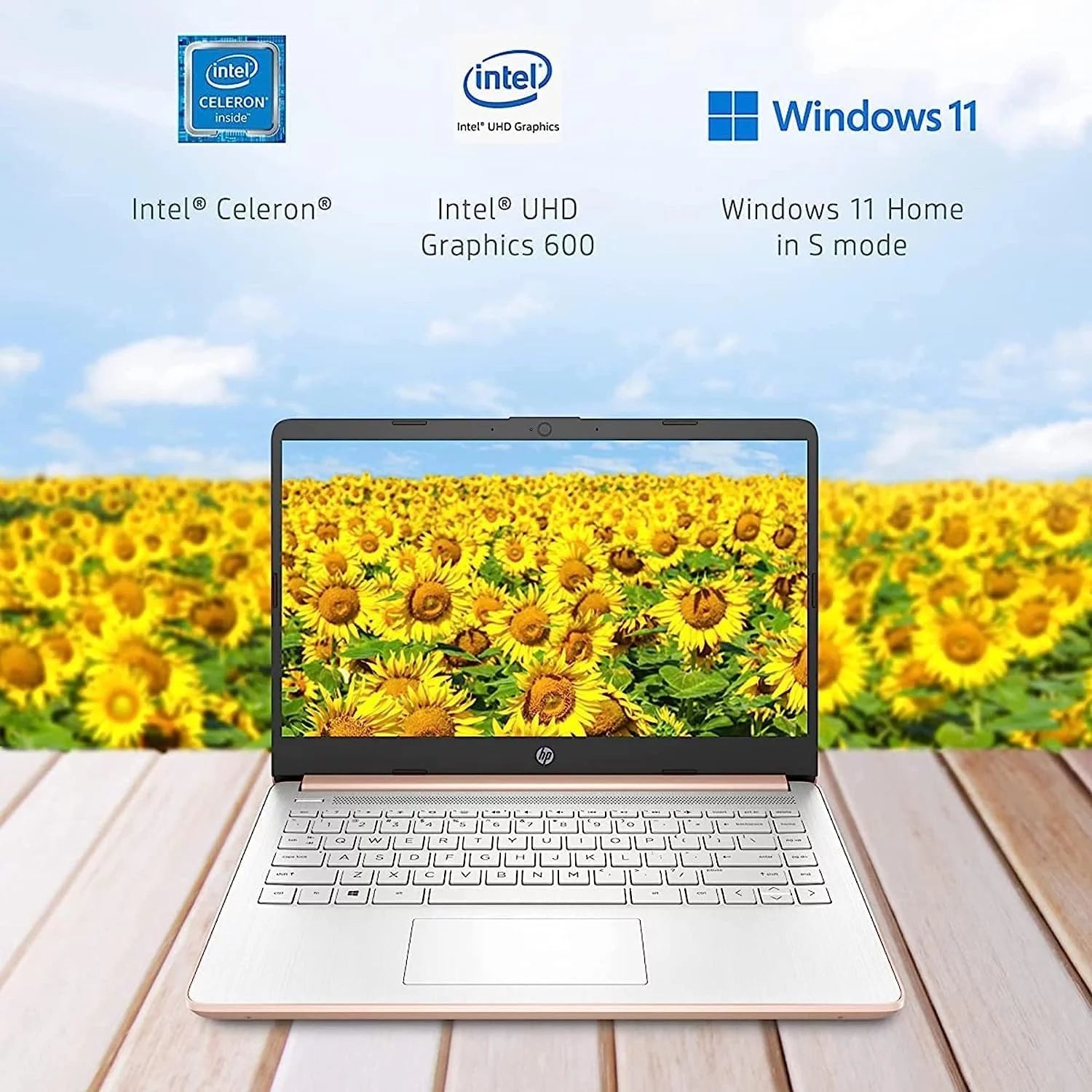14" Ultral Light Laptop Intel Celeron Quad-Core N4120 16GB RAM 64GB eMMC Pink M29452