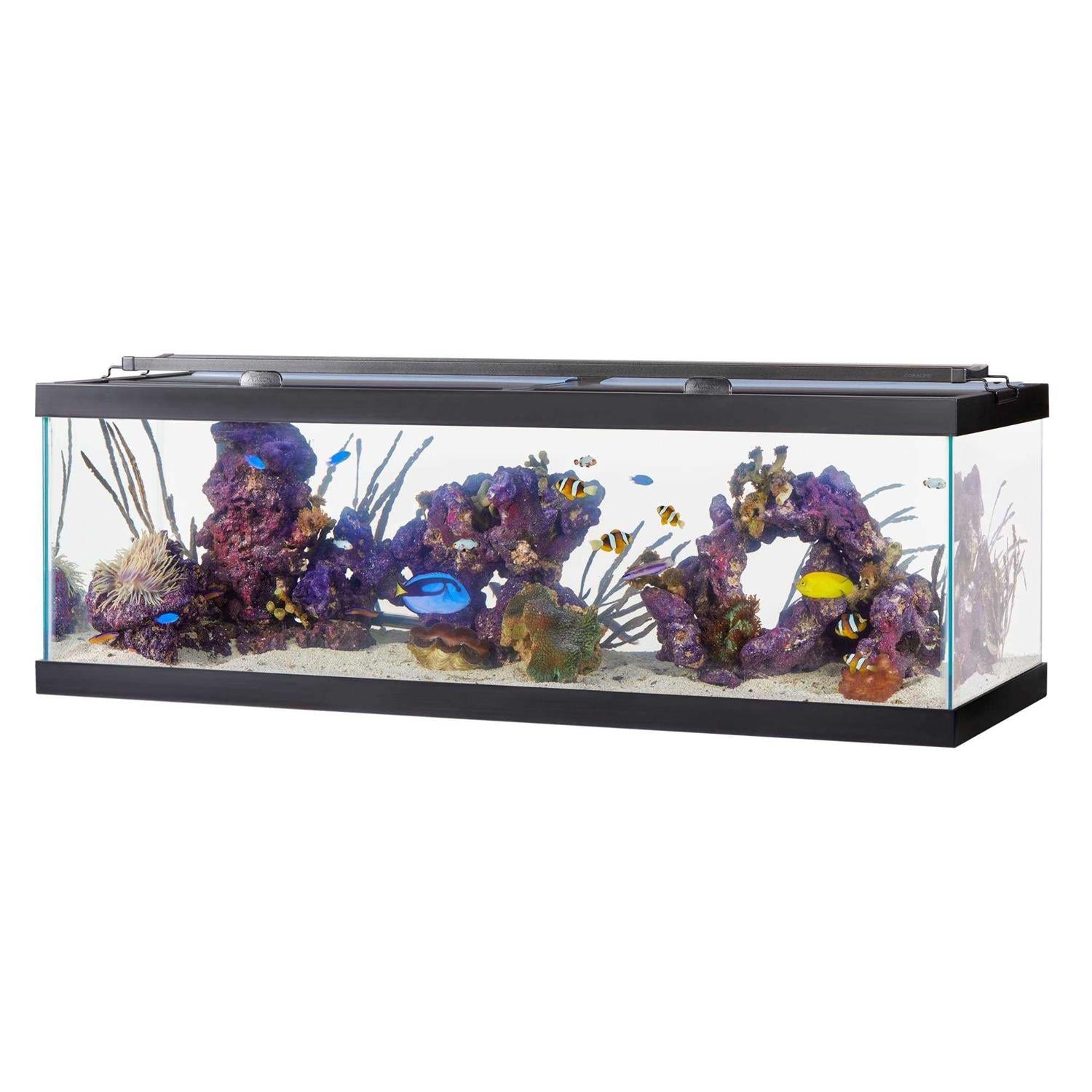 Standard Glass Rectangle Aquarium U9802