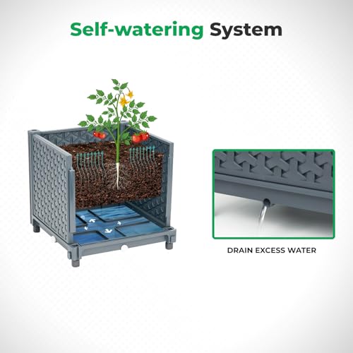 Raised Garden Bed with Tomato Planter Cage Q9136