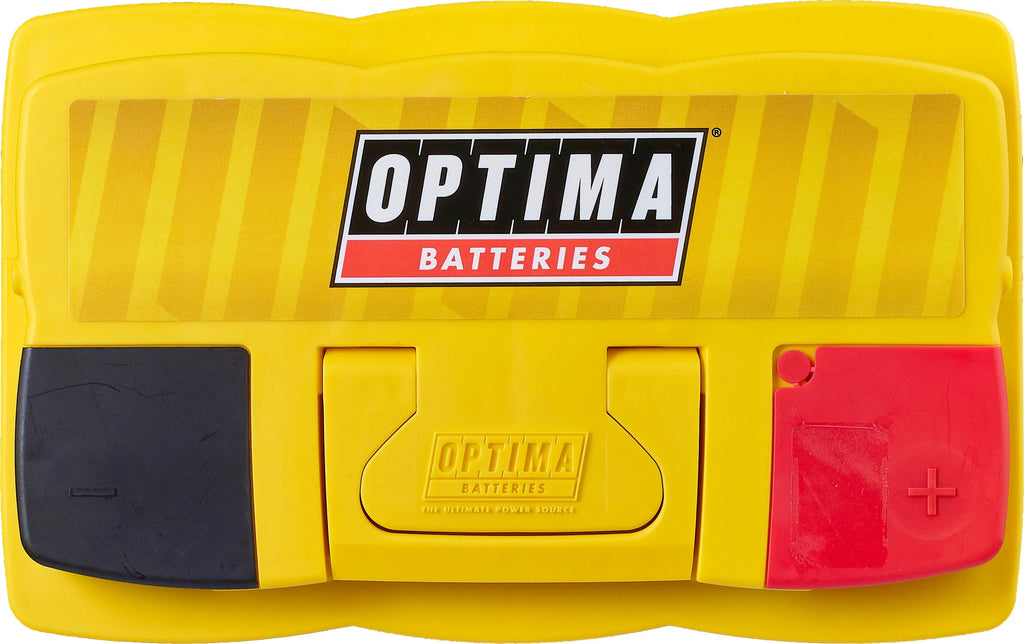 12 Volt 800 CCA AGM Dual Purpose Battery W11223