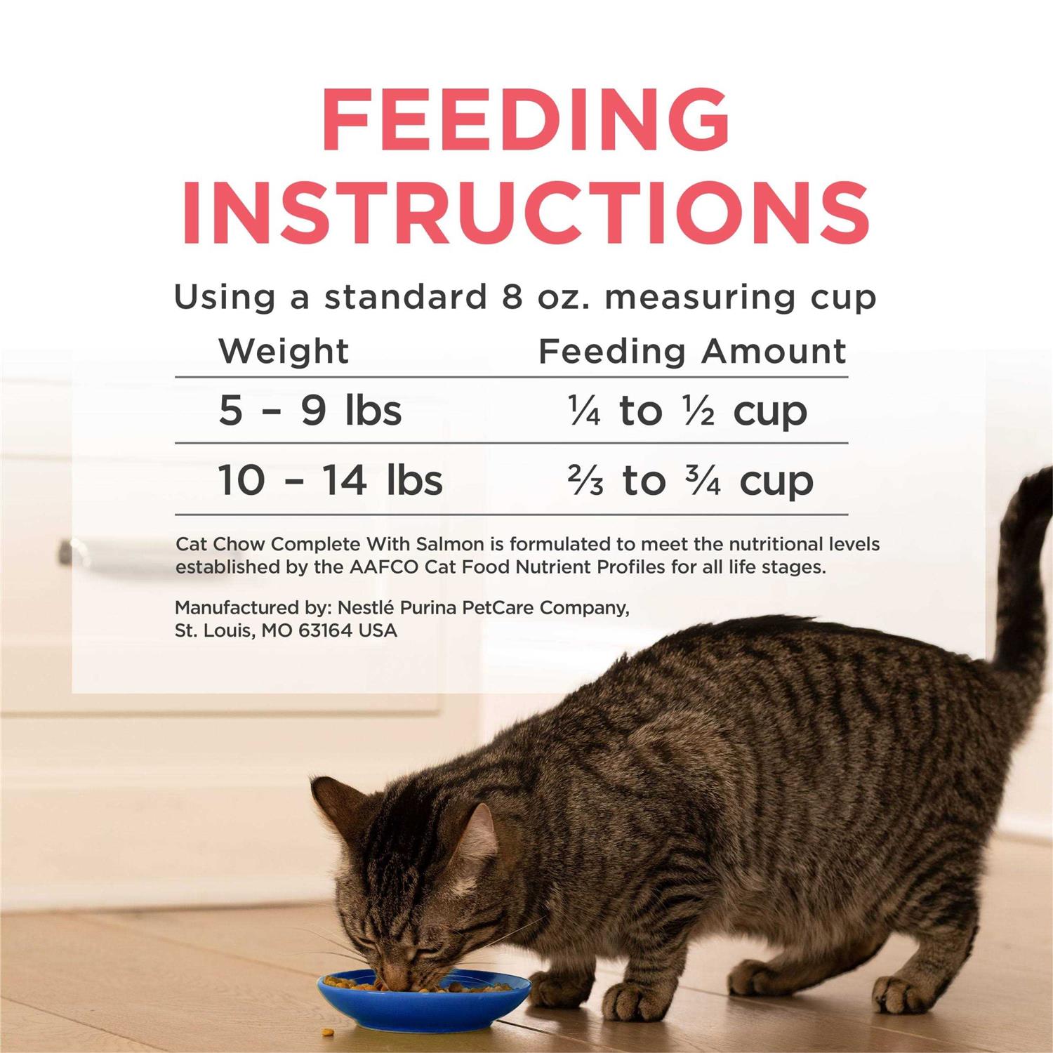 High Protein Dry Cat Food C358330