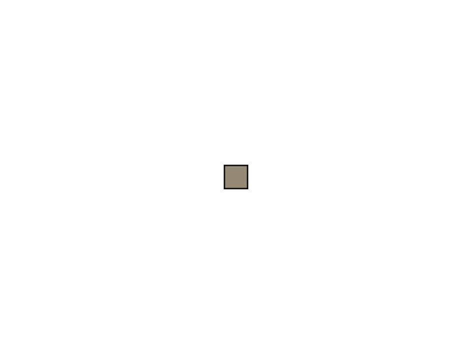 Khaki 32 Convertible Cargo Pant F343