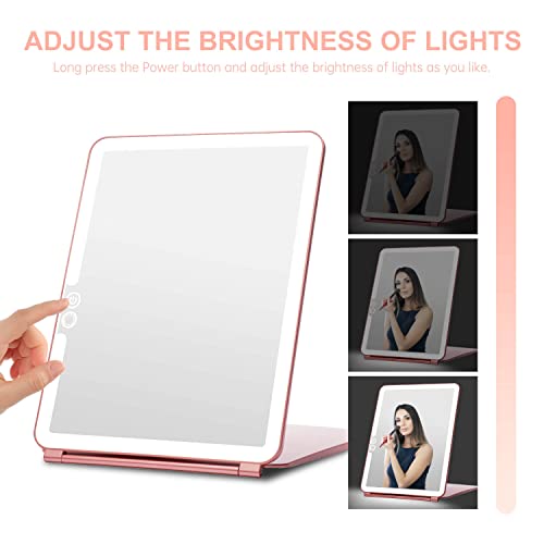 Foldable Double Sided Tabletop Mirror 10 X and 1X Y486208