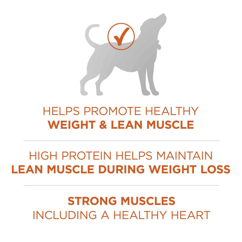 Healthy Weight Dog Food Dry Formula T32094