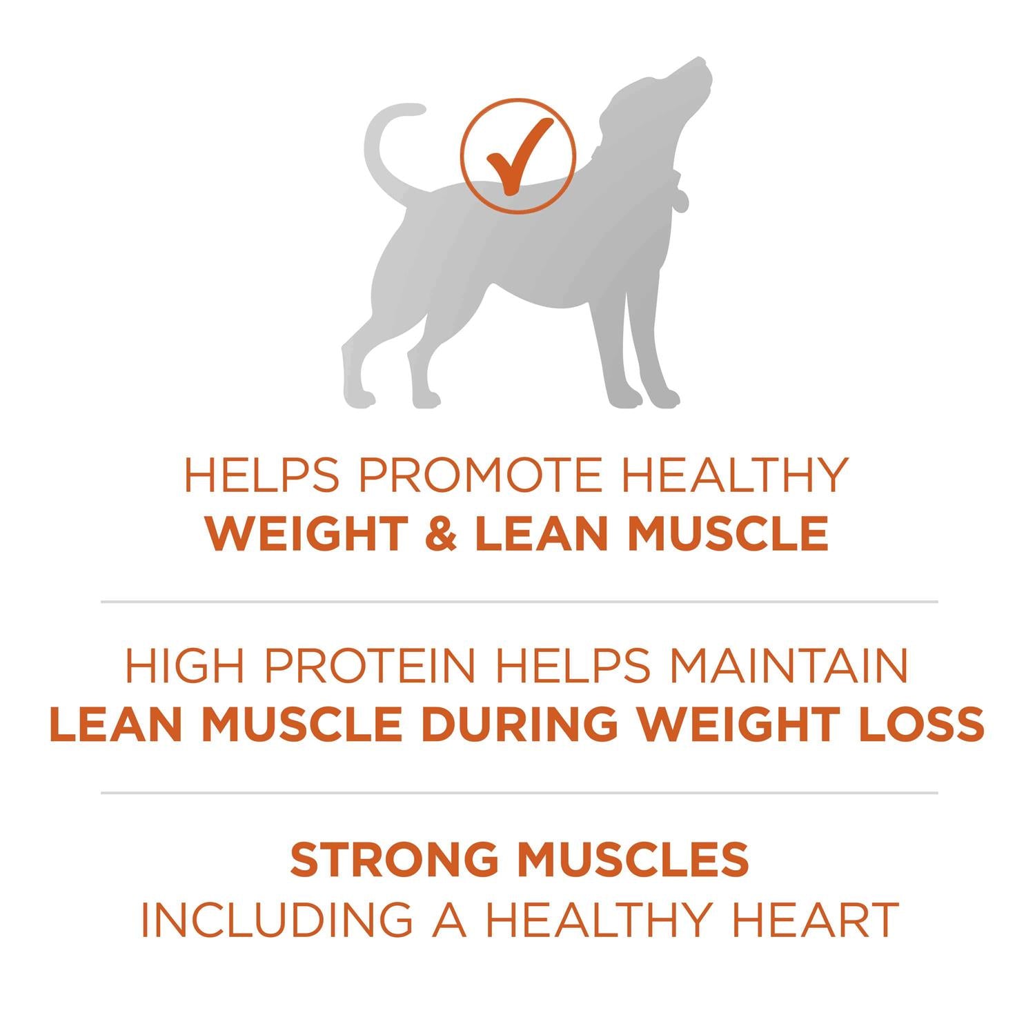 Healthy Weight Dog Food Dry Formula T32094