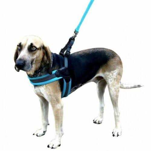 Nylon Mesh Non-Pulling Dog Harness D16539