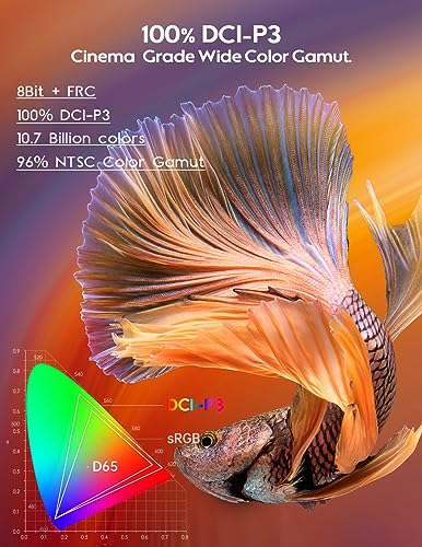 15.6'' 4K OLED Portable Monitor U28633