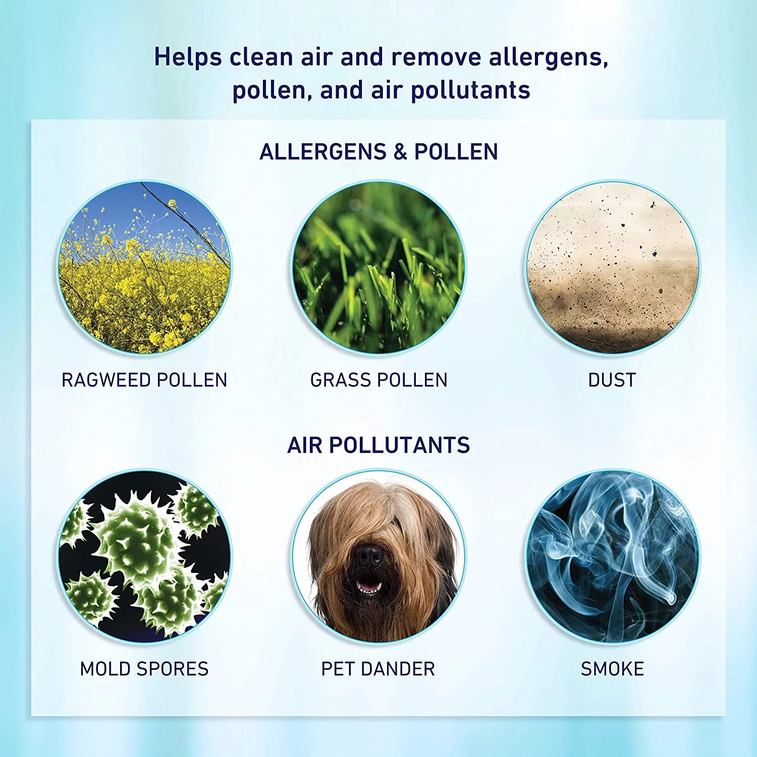 Small Room Air Purifier with Permanent Air Filter T8892