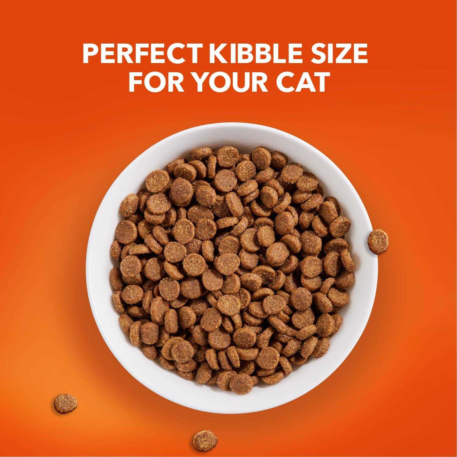 Senior Dry Cat Food X6807
