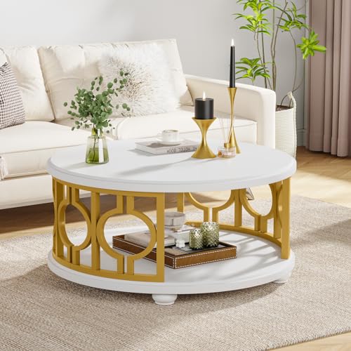 2-Tier Round Coffee Table with Storage Shelf H1369