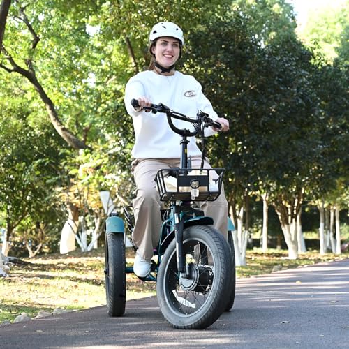 20" x 4" Fat Tire Electric Tricycle with Removable Battery Q6371