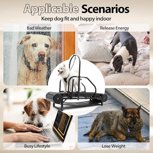 Non-Electric Dog Treadmill with Step Counter, Adjustable Incline & Brake U472835