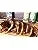 6 Pack Bundle Pourable Marinade C8914