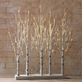 Lighted Birch Tree Forest 30x22 N383054
