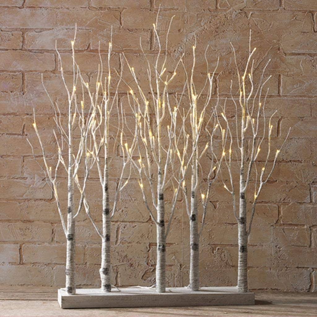 Lighted Birch Tree Forest 30x22 N383054