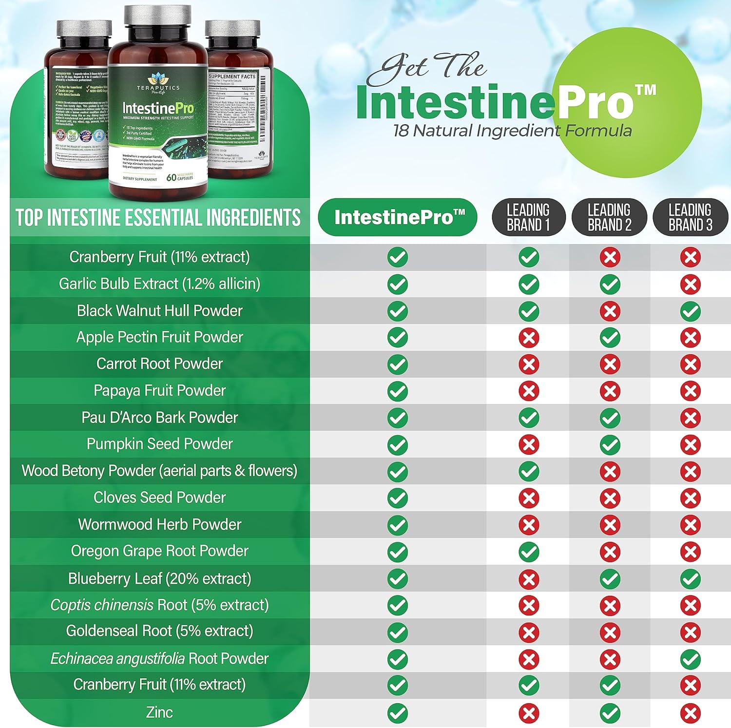 Intestine Support with Non-GMO Wormwood, Black Walnut, Echinacea, 60 Vegetarian Capsules S41693