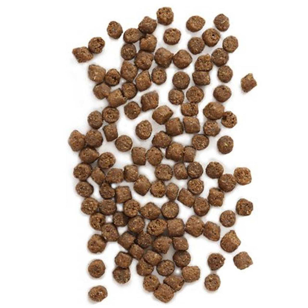 Wild Sea Catch Cat Food Y943