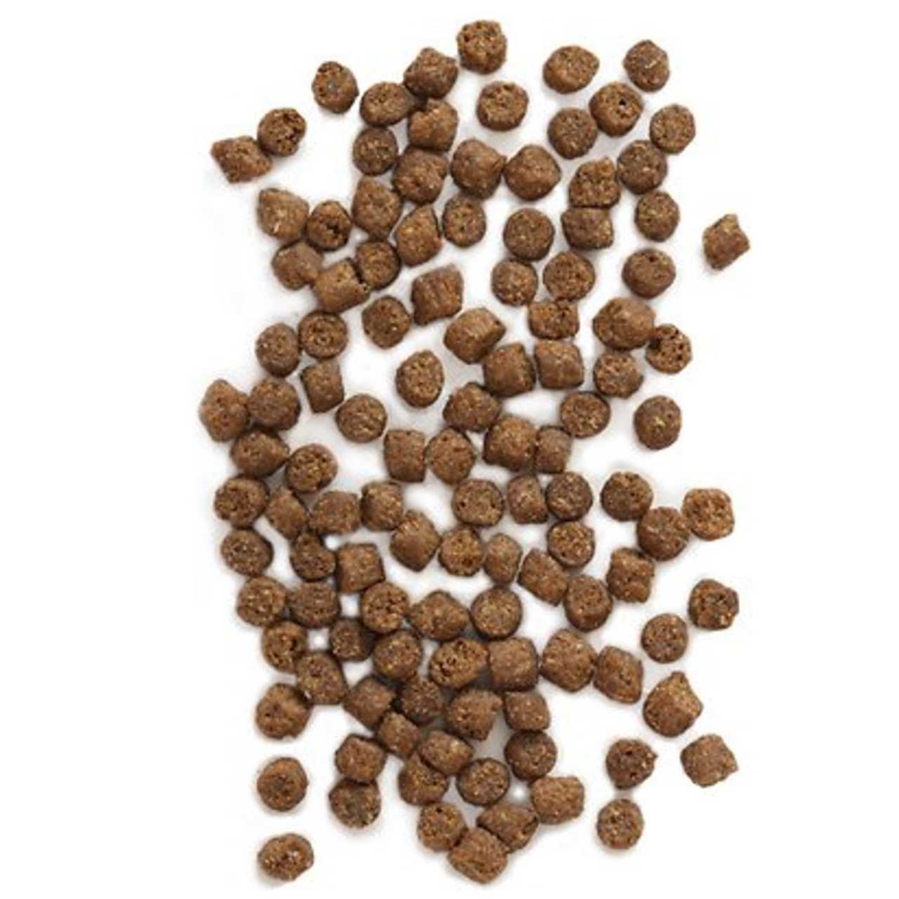 Wild Sea Catch Cat Food Y943