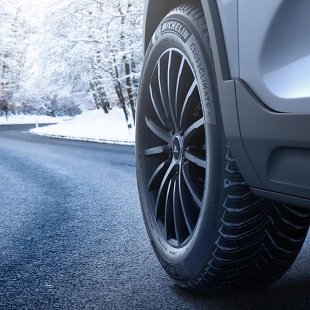 225/65R17 102H All-Season Car Tire T24539