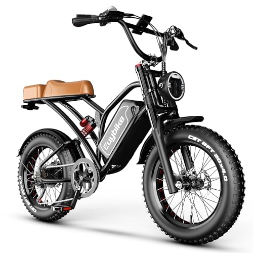 2000W Electric Bike with 48V Battery 20"x4.0" Fat Tires G555