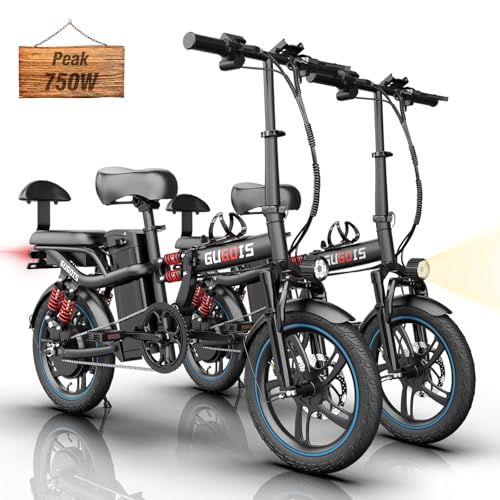 2 Seater Electric Bike, 16" Fat Tire, Full Suspension A247