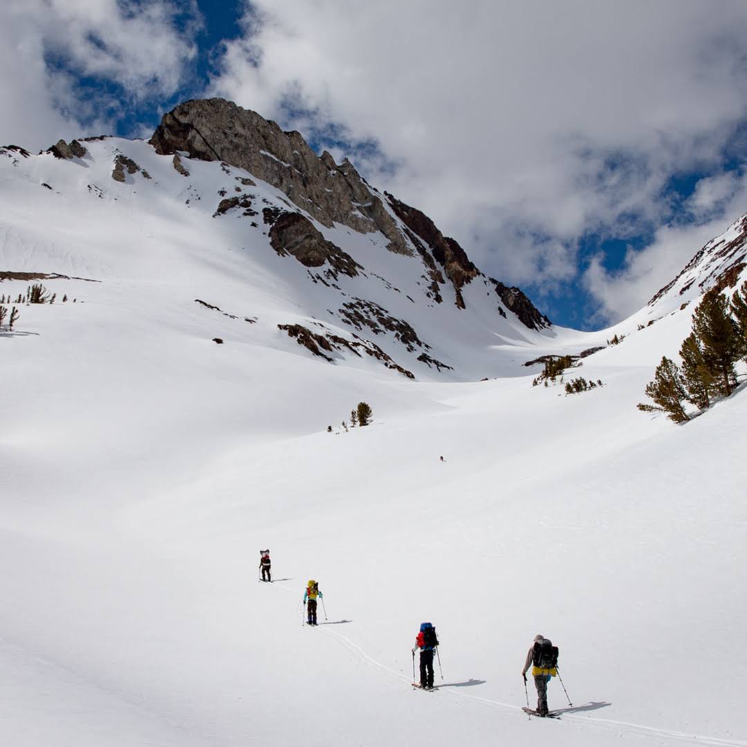 Splitboard A425