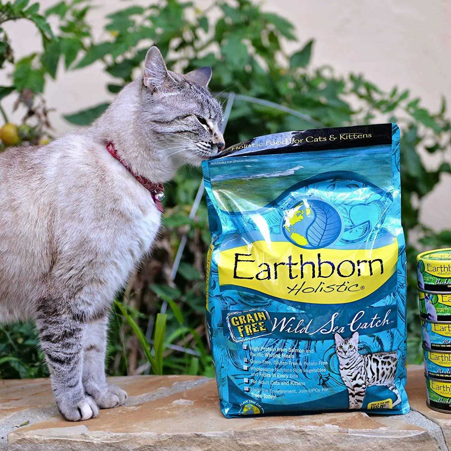 Wild Sea Catch Cat Food Y943