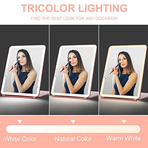 Foldable Double Sided Tabletop Mirror 10 X and 1X Y486208