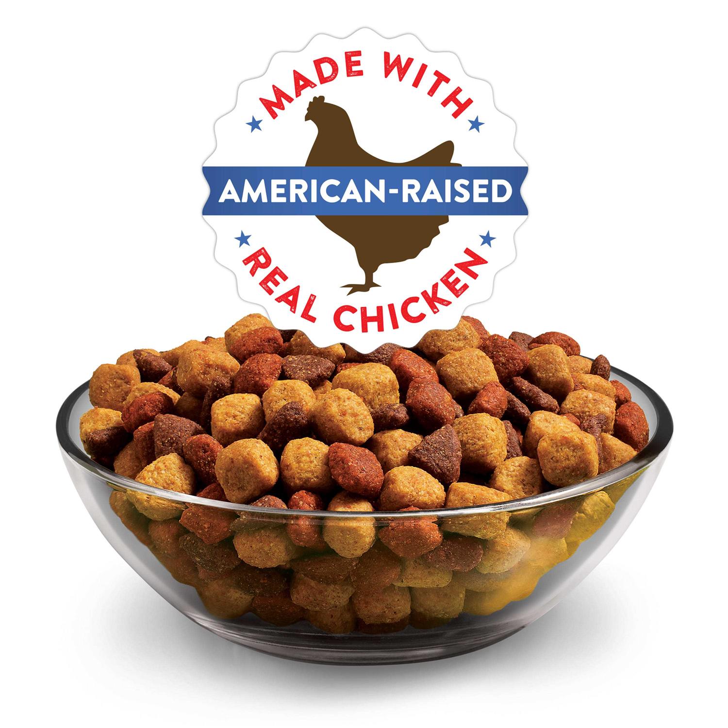 Dry Dog Food S6679