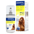 60 ml Spray V616599