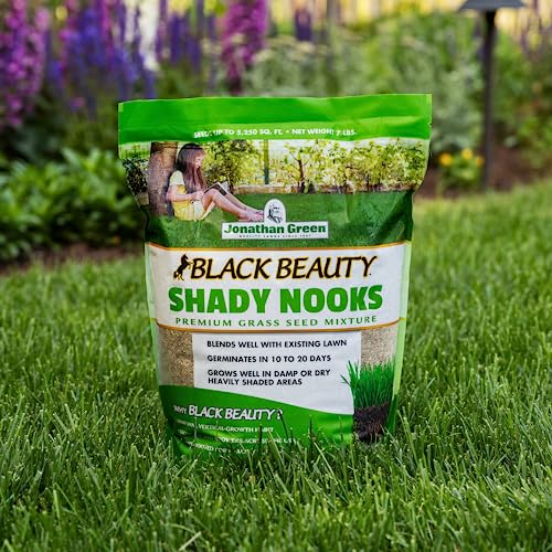 Black Beauty Shady Nooks Grass Seed 3 lb V739