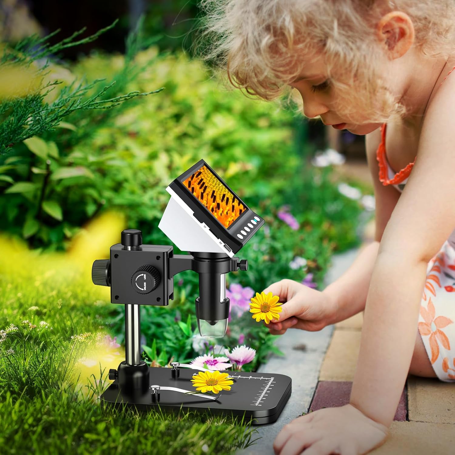 4.3'' IPS 1000X Magnification Digital Microscope with 8 Adjustable LEDs L11161