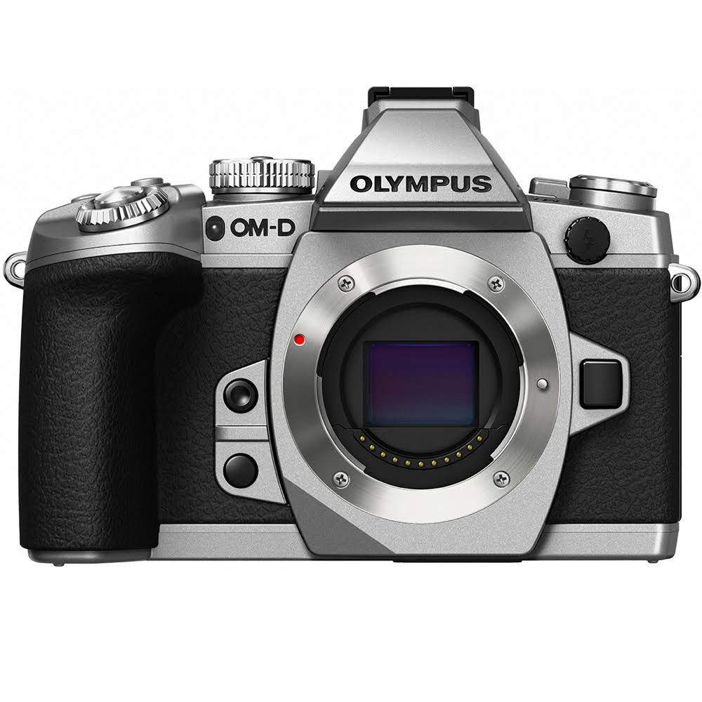 16.3 Megapixel Mirrorless Camera Body Only - Silver J772