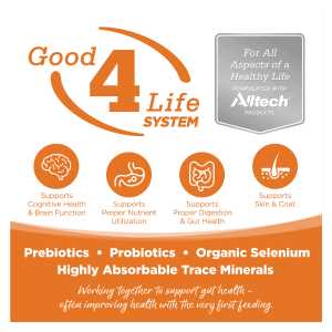 Grain Free Venison Red Lentils Dog Food X586732