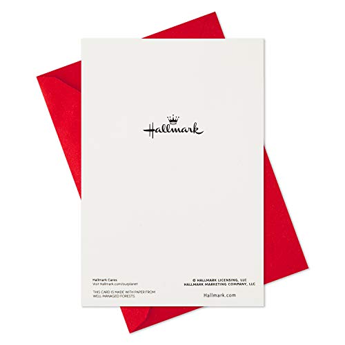 40 Cards and Envelopes Boxed Christmas Cards P217018