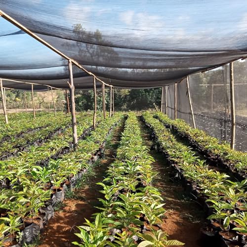 6.5X20Ft 40% Shade Cloth Mesh Tarp B576208
