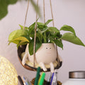 Hanging Swing Chair Planter Pot Smile Face Plant Pot for Indoor Outdoor Plants Cute Head Flower Pots B932