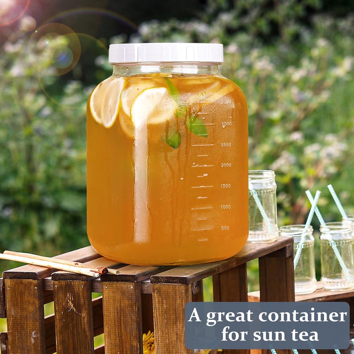 Wide Mouth 1 Gallon Clear Glass Mason Jar with Lid U116938