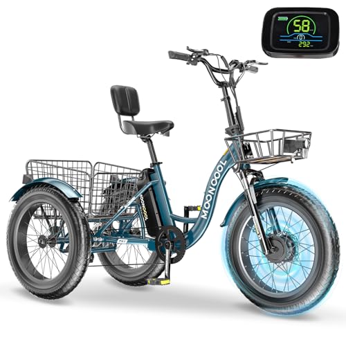 20" x 4" Fat Tire Electric Tricycle with Removable Battery Q6371