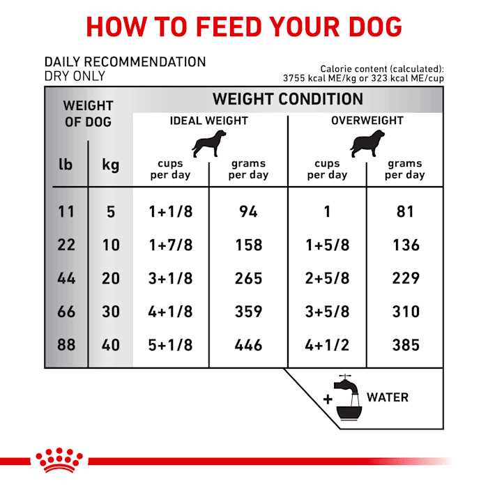 Veterinary Diet Dry Dog Food C541646
