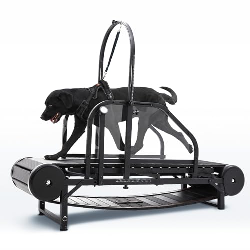 Non-Electric Dog Treadmill with Step Counter, Adjustable Incline & Brake U472835