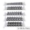 Cast Iron Hex Dumbbell Sets 80-100 lb. Pairs Z4165